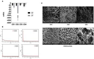 Development and Characterization of a New Endoscopic Drug-Eluting Platform With Proven Efficacy in Acute and Chronic Experimental Colitis